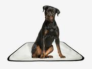 Tapete pet lavável adestramento higiênico 4 un G 90x100cm Tapete pet lavável adestramento higiênico 4 un G 90x100cm