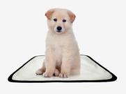 Tapete pet lavável adestramento higiênico 4 un PP 40x50cm Tapete pet lavável adestramento higiênico 4 un PP 40x50cm