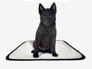 Tapete pet lavável educador higiênico 1 un P 50x60cm