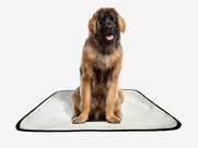 Tapete pet lavável educador higiênico 2 un G2 120x120cm Tapete pet lavável educador higiênico 2 un G2 120x120cm