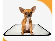Tapete pet lavável prático em oferta 2 un PP 40x50cm Tapete pet lavável prático em oferta 2 un PP 40x50cm