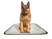 Tapete pet reutilizável adestrador dog oferta 10un G2 120x120cm