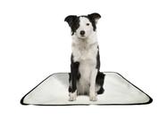 Tapete pet reutilizável educador dog oferta 10un M1 70x100cm