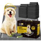 Tapetes higiênicos para filhotes DOGGO DOUG 80 unidades 56 x 56 cm com carvão ativado