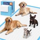 Tapetes Higiênicos URPOWER para Cães 5XL 140x75 cm Pacote com 40 Unidades Tapetes Higiênicos URPOWER para Cães 5XL 140x75 cm Pacote com 40 Unidades