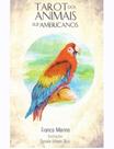 Tarot Dos Animais Sul-americanos + Presente
