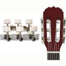 Tarraxa Para Violão Nylon Pino Grosso Tarraxa Para Violão Nylon Pino Grosso