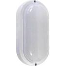 Tartaruga led 8w IP 65