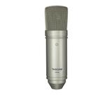 Tascam - tm-80 - microfone
