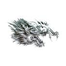Tatuagem Temporária Unissex À Prova d'Água Com Desenho De Dragão, Flor E Buda, Estilo Punk, Para Tatuagem Temporária Unissex À Prova d'Água Com Desenho De Dragão, Flor E Buda, Estilo Punk, Para