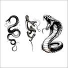 Tatuagens Temporaria Serpnetes e Cobras 2