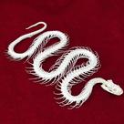 Taxidermia: crânio de animal real, esqueleto de cobra, CLOEAT