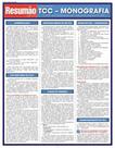 Tcc - monografia - resumao especial - BARROS, FISCHER E ASSOCIADOS