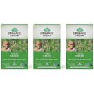 Tea Organic India Tulsi Green, 18 sacos, pacote com 3