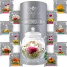 Tea Teabloom Flowering, pacote com 12 variedades exclusivas de floração