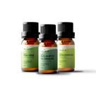 Tea Tree + Eucalipto Glóbulos + Lemongrass - Trio de Óleos Essenciais 100% Natural