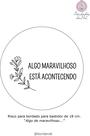 Tecido com risco para bordado livre com guia de pontos e tutoriais.