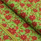 Tecido Estampado para Patchwork - Natal By Peter Paiva : Bico de Papagaio Fundo Verde (0,50x1,40)