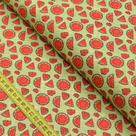 Tecido Estampado para Patchwork - Nova Melancia : Cortes de Melancia (0,50x1,40)