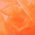 Tecido Organza Transparente 152 cm de Largura Leve Laranja
