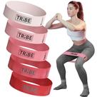 Tecido Resistance Bands Tribe Lifting para exercícios (rosa)