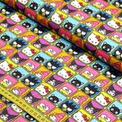 Tecido Tricoline Hello Kitty Friends 3000 (0,50X1,50)