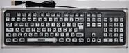 Teclado Adaptado com Colmeia Acrílica Teclas em Alto Contraste Branco com Letras Pretas