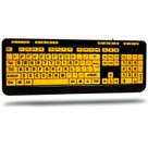 Teclado Adesso AKB-132UY Luminous 4X com impressão grande USB preto