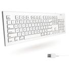 Teclado Macally de tamanho completo com fio USB para Mac e PC Teclado Macally de tamanho completo com fio USB para Mac e PC