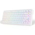 Teclado MAMBASNAKE M82 HE 75% com fio, magnético RGB Teclado MAMBASNAKE M82 HE 75% com fio, magnético RGB