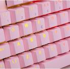 Teclado Mecânico Orion Essential YH Blue USB 2.0 Rosa