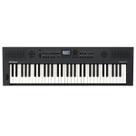 Teclado Musical 61 Teclas Grafite GO:KEYS 5 GT - Roland