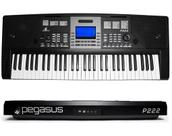 Teclado Sintetizador Eletronico Pegasus P222 61 teclas Preto *
