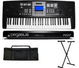 Teclado Sintetizador Pegasus P222 61 teclas + Suporte + Capa