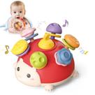 Teether VVin Hedgehog para bebês de 6 a 18 meses com Rattle Red