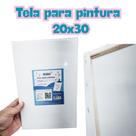 TELA DE PINTURA STALO 20x30 01 UNID TELA DE PINTURA STALO 20x30 01 UNID