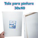 Tela de pintura stalo 30x40 01 unid Tela de pintura stalo 30x40 01 unid