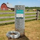 Tela Mangueirão Galvanizada Fio 18 1,20x50m Malha 3 Brinde Rolo Arame 1kg Rural Cerca Alambrado Cerca Porco Granja
