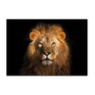 Tela Quadro Decorativo Para sala leão Juba King Lindo 60x40 Quadro Quarto Hall Cozinha