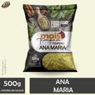 Tempero Ana Maria Qualidade Premium 500g - Ltt Alimentos