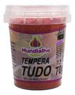 Tempero Mundialho Tempera Tudo 70g