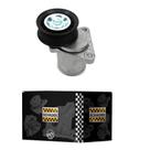 Tensor Correia Ford Focus/mondeo/fusion/ecosport 2.0 16v (alt) Schadek