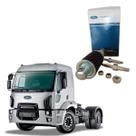 Tensor Da Correia Estriada Ford F250/ Cargo Motor Eletronico - Original Ford