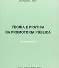 Teoria e prática da promotoria pública