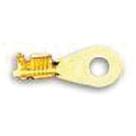 Terminal Latao Olhal C furo 5 32 Ate 2,5mm Kit 480012 Universal Nk-480012 Terminal Latao Olhal C furo 5 32 Ate 2,5mm Kit 480012 Universal Nk-480012