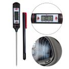 Termômetro Espeto Digital Vareta Temperatura -50c A +300c