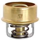 Termostato - Mte Thomson Vt247.75