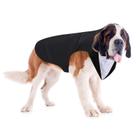 Terno de casamento formal para cães Weewooday GG