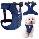 Terno formal AVERYDAY para cães com gravata borboleta para animais de estimação pequenos