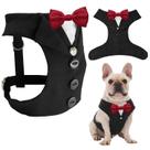 Terno formal AVERYDAY para cães com gravata borboleta vermelha